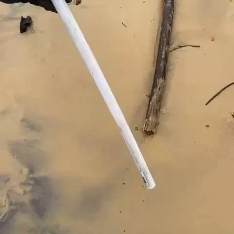 Você sabe quais são os riscos do descarte inadequado de lâmpadas fluorescentes no meio ambiente?O descarte incorreto dessas lâmpadas oferece sérios riscos à saúde humana, devido à presença de substâncias tóxicas como mercúrio e chumbo, que fazem parte de sua composição. Além disso, pode causar danos ambientais significativos, contaminando o ar, a água, o solo e os animais.O Brasil assinou um tratado internacional com o objetivo de eliminar a comercialização de lâmpadas fluorescentes compactas até 2025. Este tratado integra a Convenção de Minamata, um esforço global para reduzir o uso de mercúrio e seus compostos.O mercúrio é uma neurotoxina perigosa, capaz de afetar os sistemas nervoso, digestivo e imunológico. Sua liberação ocorre principalmente quando as lâmpadas se quebram, mas também durante sua produção, uso, transporte, reciclagem e descarte inadequado.
Fonte: O Globo, 2022.#ocean #sustentabilidade #oceanprotection #protecaoambiental #environment