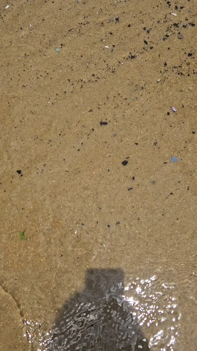 A presença de microplásticos no mar -
Os resíduos plásticos marinhos se degradam ao longo do tempo, tornando-se cada vez menos resistentes à ação do sol e da água do mar.
À medida que se deterioram, os plásticos começam a craquelar, liberando micropartículas que contaminam o ecossistema costeiro.
Essa poluição representa uma ameaça significativa à vida marinha e à saúde dos oceanos. Portanto, neste novo ano, é fundamental trabalharmos juntos para aumentar a conscientização sobre a importância de destinar e descartar adequadamente esses materiais, evitando assim maiores perturbações no meio ambiente em que vivemos. ♻️🌊🍃#oceanprotection #sustentabilidade #environment #oceanoslimpos #protecaoambiental #meioambienteagradece #education