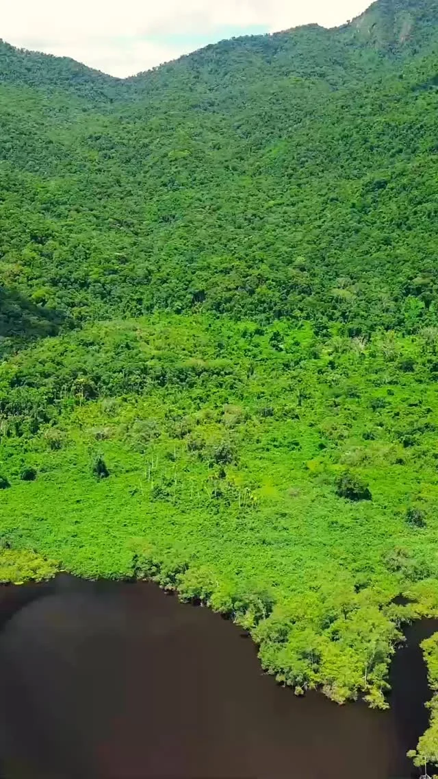 No Dia Mundial do Clima, destacamos a pesquisa científica que o Projeto OPAOMA, em colaboração com a Universidade do Estado do Rio de Janeiro (UERJ) e o Programa de Pós-graduação em Gestão e Regulação de Recursos Hídricos, está conduzindo em áreas de manguezais. Esse ecossistema que desempenha papel crucial na regulação climática, devido à sua capacidade de capturar e armazenar grande quantidade de carbono.#oceanprotection #environment #sustentabilidade #pesquisacientifica #educacaoambiental #mangrove #mudancasclimaticas #meioambiente